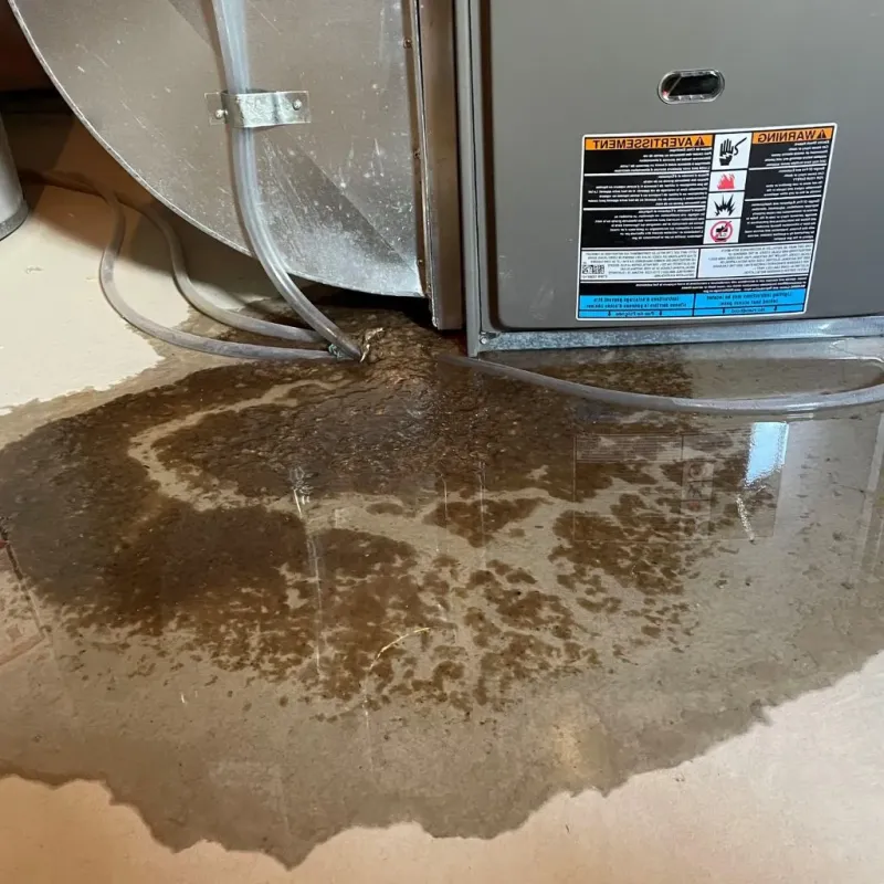 Pipe Burst and Leak Restoration in Swanzey, NH